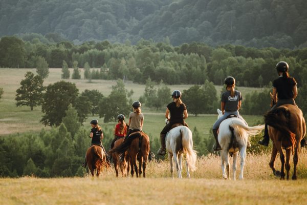 Equus Silvania About US 1-2