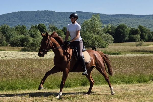 Apollo_riding2