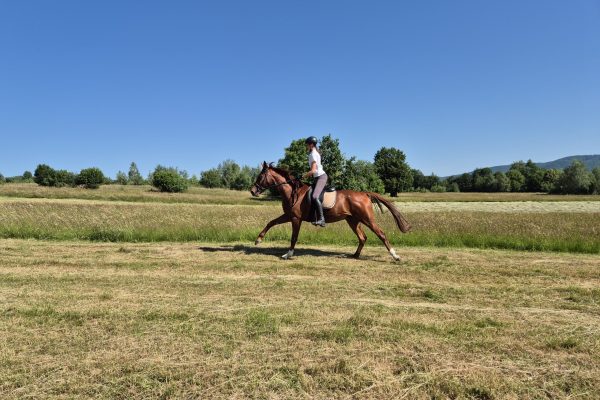 Apollo_riding3
