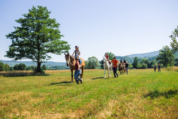 Travel Carpathia x Equus (87 of 245) (1)