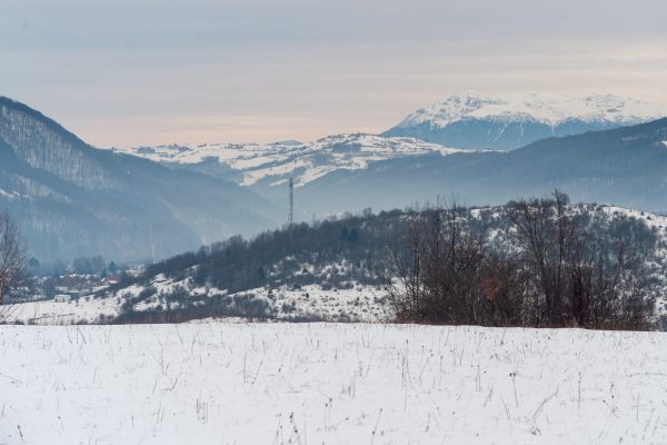 Poze Equus winter rides (C) Andrei - Alexandru Popa-12