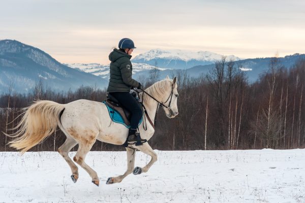 Poze Equus winter rides (C) Andrei - Alexandru Popa-22 (2)
