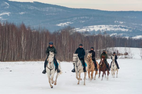 Poze Equus winter rides (C) Andrei - Alexandru Popa-5